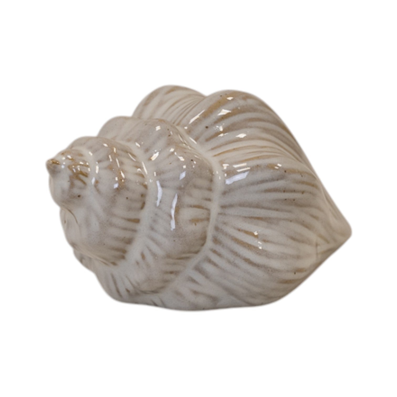 Glazed Ceramic Shell Ornament With Textured Detail